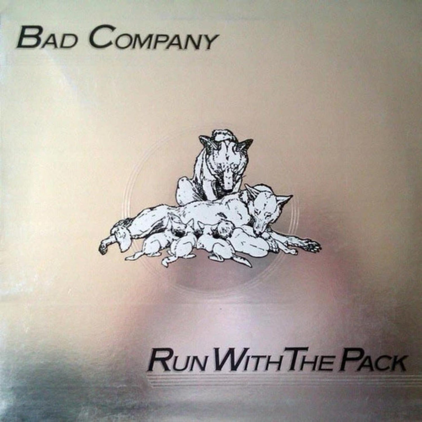 Run With The Pack 180g 45 RPM Audiophile Vinyl 2 LP