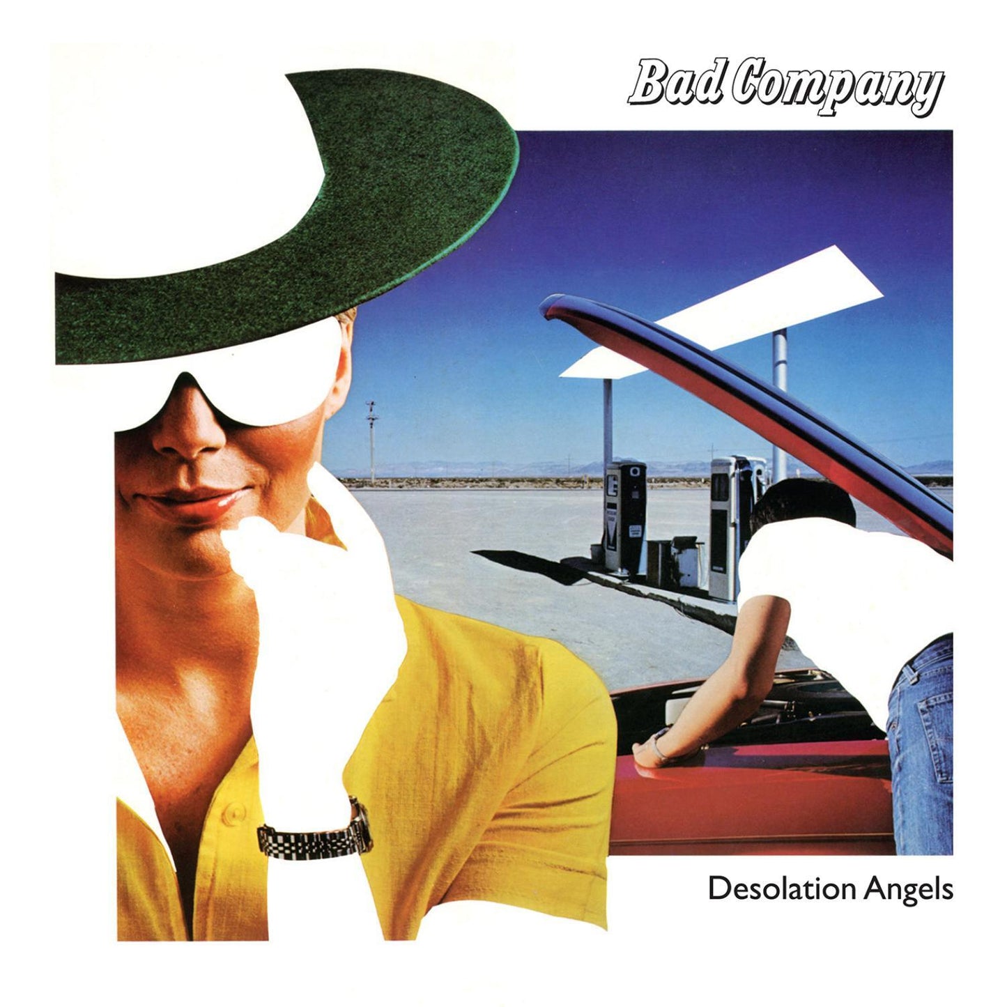 Desolation Angels (40th Anniversary Edition) 2 LP